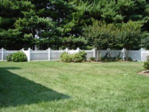 Backyard Garden Fences Grass