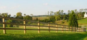 Paddock Fence